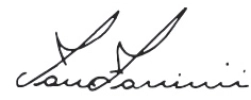logo_iane_zanini