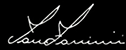 Logo Iane Zanini